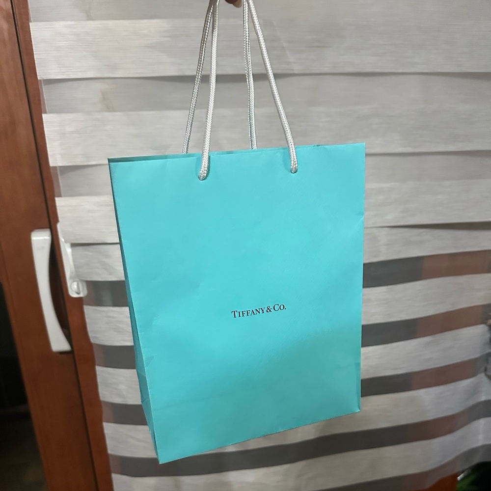 Tiffany & Co. Turquoise Shopping gift Bag new